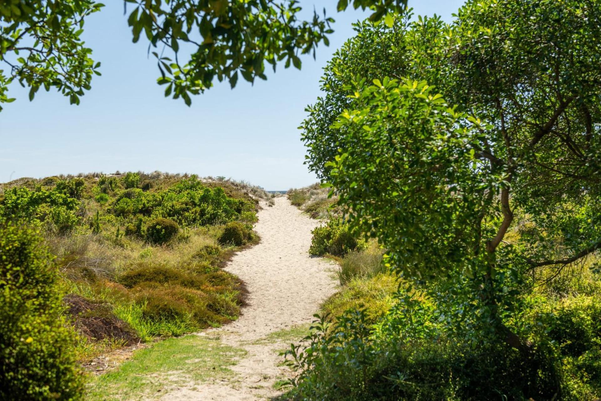 Ocean Beach Getaway Mount Maunganui Exterior photo